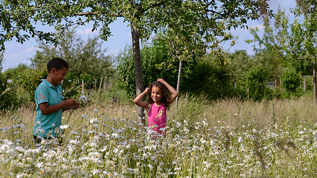 Le parc départemental des Lilas, la nature en ville.